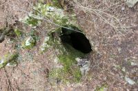 Klik za večjo sliko